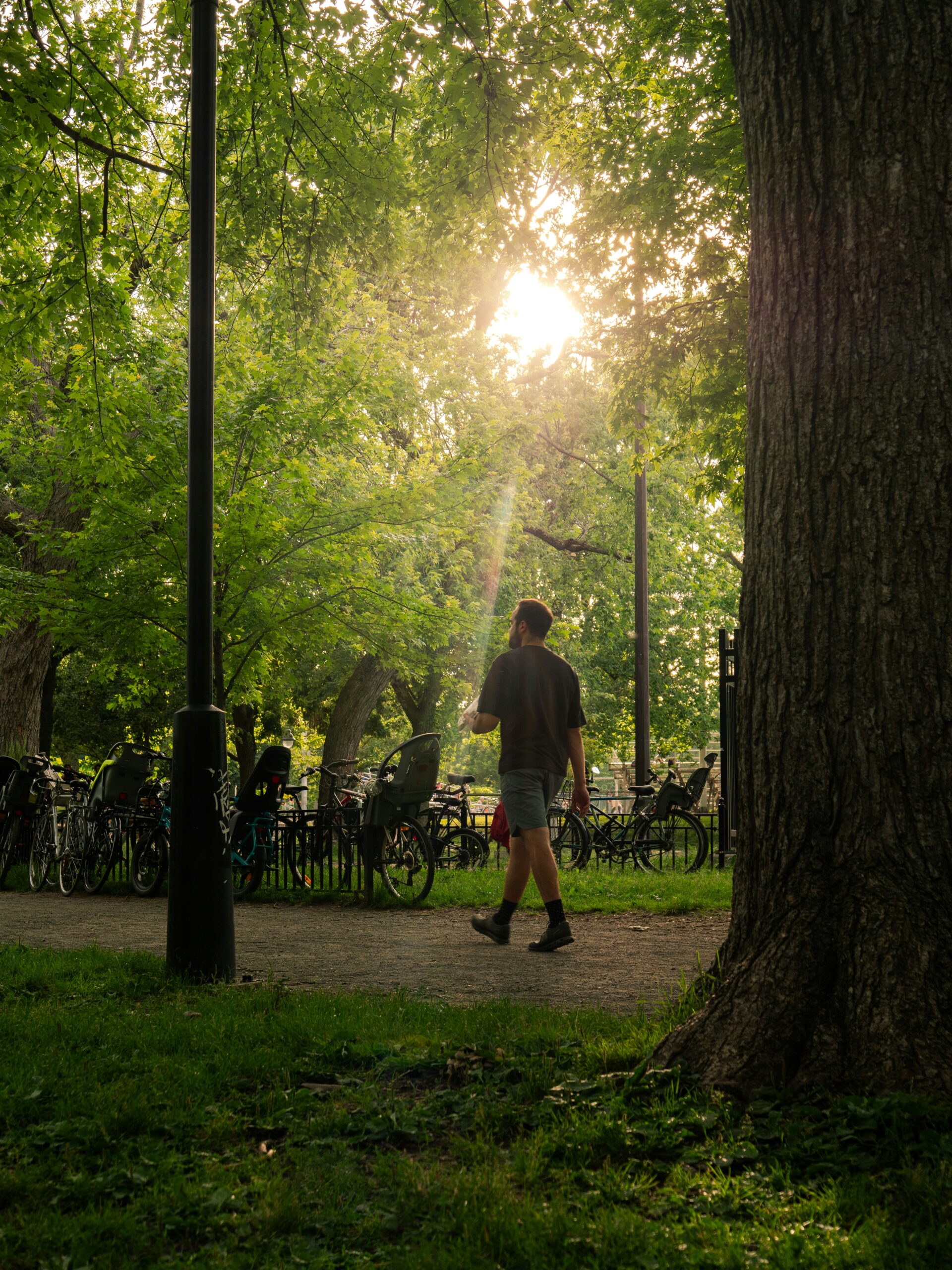 Breaking Free from Screen Time